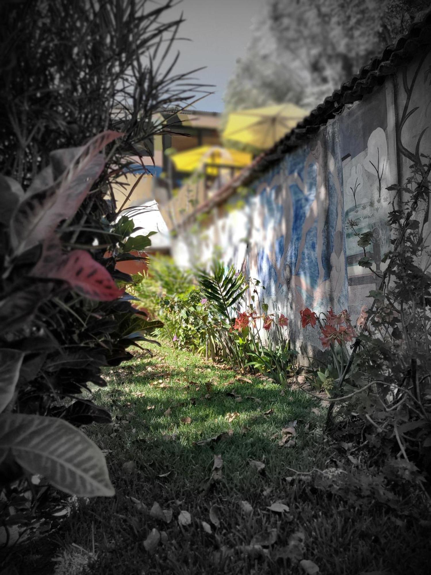 Art & Coffee Hotel Santa Cruz La Laguna Exterior foto